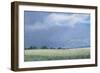 Cow Parsley, 2012-Lincoln Seligman-Framed Giclee Print