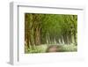 Cow Parsley Curve-Lars Van de Goor-Framed Photographic Print