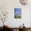 Cow Parsley Flowers-null-Mounted Photographic Print displayed on a wall