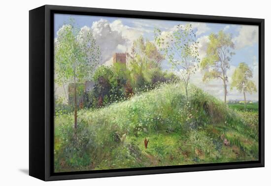 Cow Parsley Hill, 1991-Timothy Easton-Framed Stretched Canvas