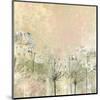 Cow Parsley softness-Claire Westwood-Mounted Premium Giclee Print