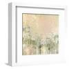 Cow Parsley softness-Claire Westwood-Framed Art Print