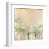 Cow Parsley softness-Claire Westwood-Framed Art Print