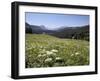 Cow Parsnip and Alpine Sunflower with Crested Butte in Distance, Washington Gulch, Colorado, USA-James Hager-Framed Photographic Print