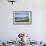 Cow Parsnip Plants Along Oregon Coastline-Darrell Gulin-Framed Photographic Print displayed on a wall
