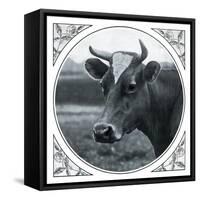 Cow Photograph-The Saturday Evening Post-Framed Stretched Canvas
