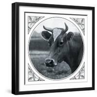 Cow Photograph-The Saturday Evening Post-Framed Giclee Print
