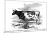 Cow Portrait 2-The Saturday Evening Post-Mounted Giclee Print