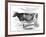 Cow Portrait-The Saturday Evening Post-Framed Giclee Print