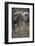 Cow Posing For You-null-Framed Photographic Print