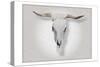 Cow Skull in Alabaster-Sarah Butcher-Stretched Canvas