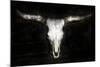 Cow Skull-PHBurchett-Mounted Art Print