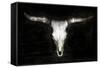 Cow Skull-PHBurchett-Framed Stretched Canvas