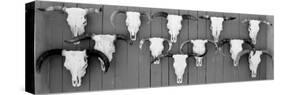 Cow Skulls Hanging on Planks, Taos, New Mexico, USA-null-Stretched Canvas