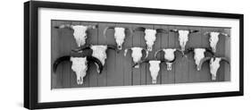 Cow Skulls Hanging on Planks, Taos, New Mexico, USA-null-Framed Photographic Print