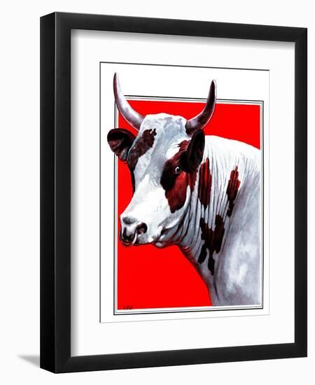 Cow Still 1-The Saturday Evening Post-Framed Premium Giclee Print