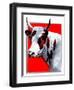 Cow Still 1-The Saturday Evening Post-Framed Premium Giclee Print