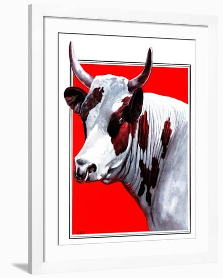 Cow Still 1-The Saturday Evening Post-Framed Giclee Print