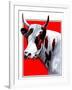 Cow Still 1-The Saturday Evening Post-Framed Giclee Print