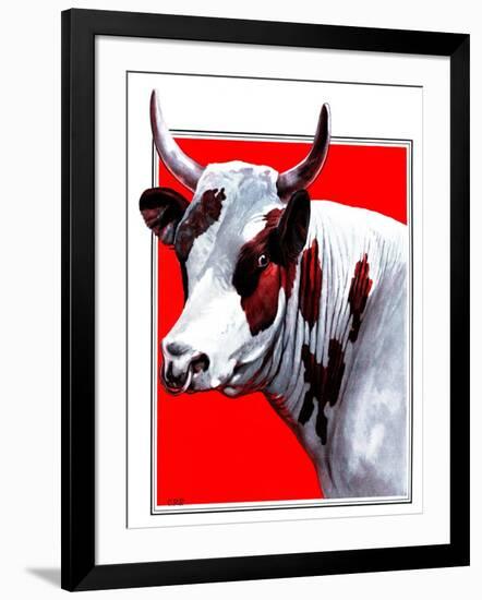 Cow Still 1-The Saturday Evening Post-Framed Giclee Print