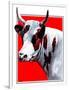 Cow Still 1-The Saturday Evening Post-Framed Giclee Print