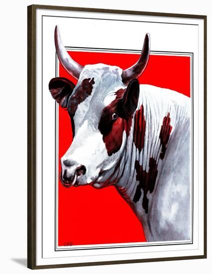 Cow Still 1-The Saturday Evening Post-Framed Premium Giclee Print