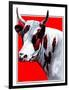 Cow Still 1-The Saturday Evening Post-Framed Premium Giclee Print