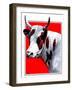 Cow Still 1-The Saturday Evening Post-Framed Giclee Print