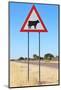 Cow Warning Sign - Funny Background Image from Africa-Naturally Africa-Mounted Photographic Print