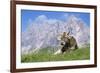 Cow-Bjorn Svensson-Framed Photographic Print