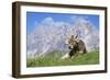 Cow-Bjorn Svensson-Framed Photographic Print