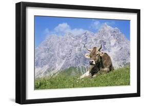 Cow-Bjorn Svensson-Framed Photographic Print