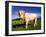 Cow-null-Framed Photographic Print