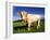 Cow-null-Framed Photographic Print