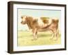 Cow-Gwendolyn Babbitt-Framed Art Print