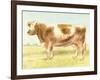 Cow-Gwendolyn Babbitt-Framed Art Print