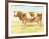 Cow-Gwendolyn Babbitt-Framed Art Print