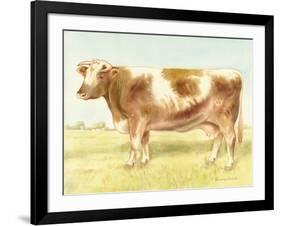 Cow-Gwendolyn Babbitt-Framed Art Print