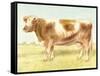 Cow-Gwendolyn Babbitt-Framed Stretched Canvas