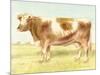 Cow-Gwendolyn Babbitt-Mounted Art Print