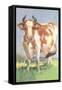 Cow-null-Framed Stretched Canvas