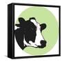 Cow-Sarah Thompson-Engels-Framed Stretched Canvas