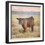 Cow-Denise Brown-Framed Art Print