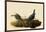 Cowbirds-John James Audubon-Framed Giclee Print