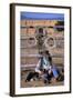 Cowboy and Dog Sitting Against Fence-Darrell Gulin-Framed Photographic Print