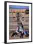 Cowboy and Dog Sitting Against Fence-Darrell Gulin-Framed Photographic Print