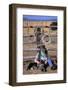 Cowboy and Dog Sitting Against Fence-Darrell Gulin-Framed Photographic Print