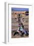 Cowboy and Dog Sitting Against Fence-Darrell Gulin-Framed Photographic Print