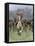 Cowboy and His Horse Caught in a Cattle Stampede, c.1800-null-Framed Stretched Canvas