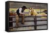 Cowboy and Horses-Darrell Gulin-Framed Stretched Canvas